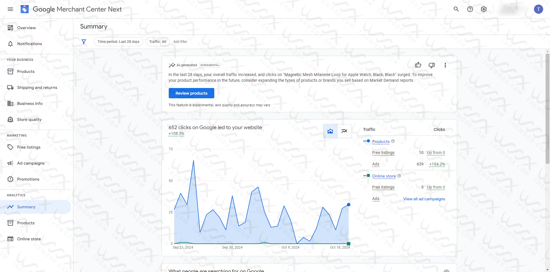 Google Merchant Center Misrepresentation Issue