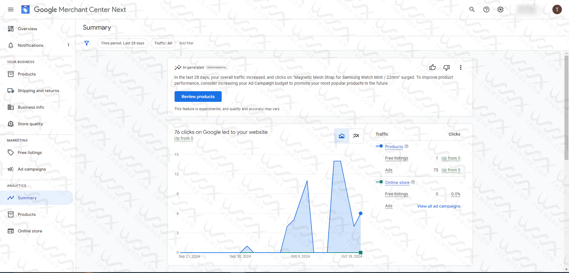 Google Merchant Center Misrepresentation Issue